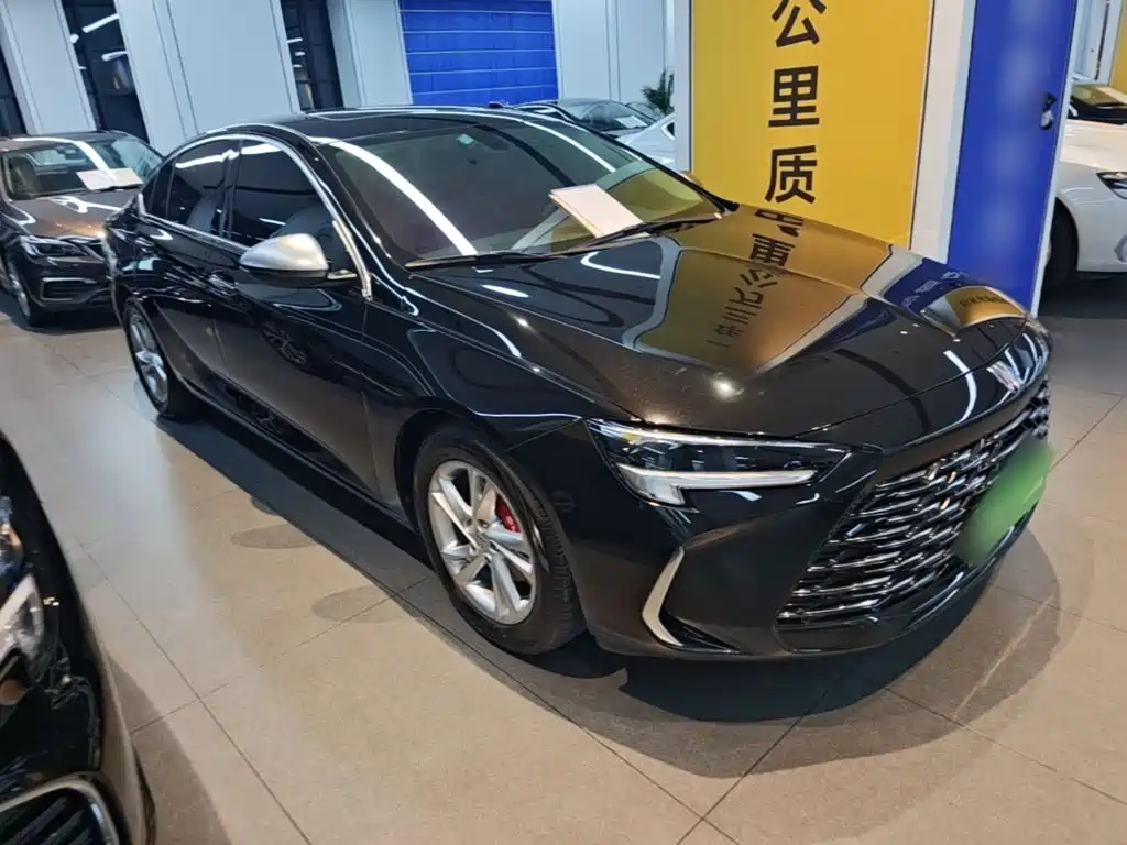 Buick Regal — миниатюра 4
