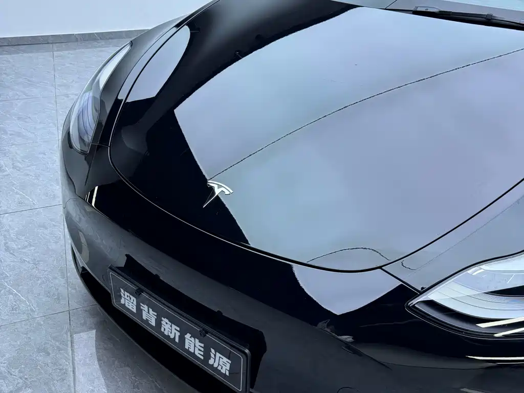 Tesla Model Y — миниатюра 6