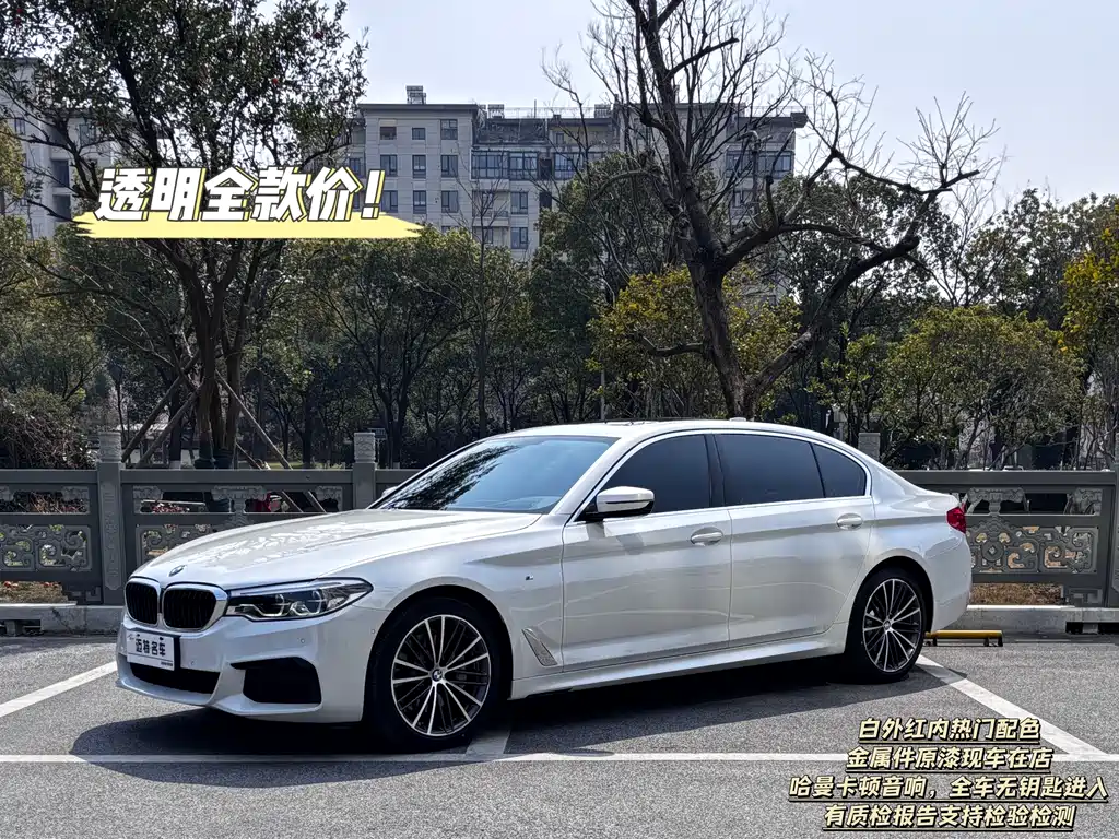 BMW 5 Series 2020