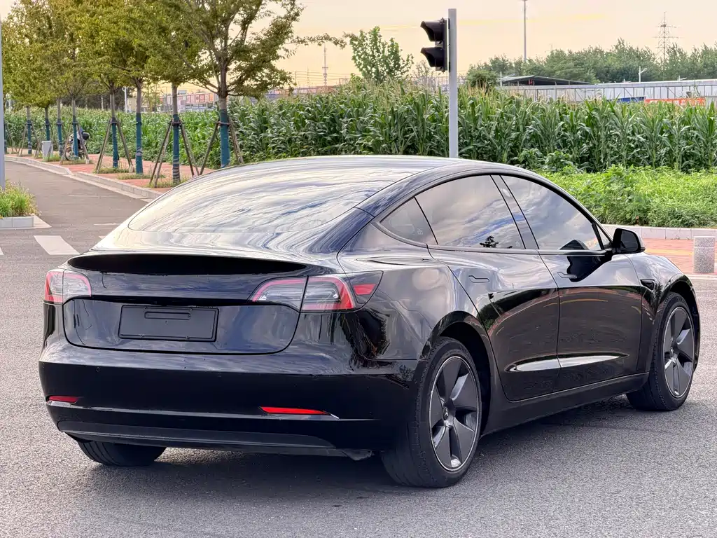 Tesla Model 3 — миниатюра 7