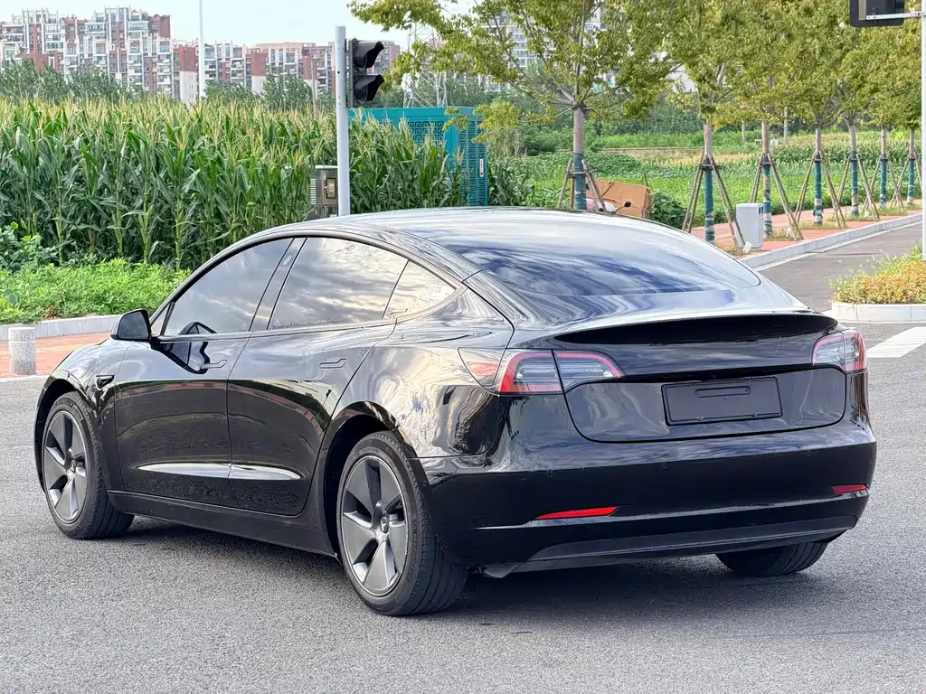 Tesla Model 3 — миниатюра 9