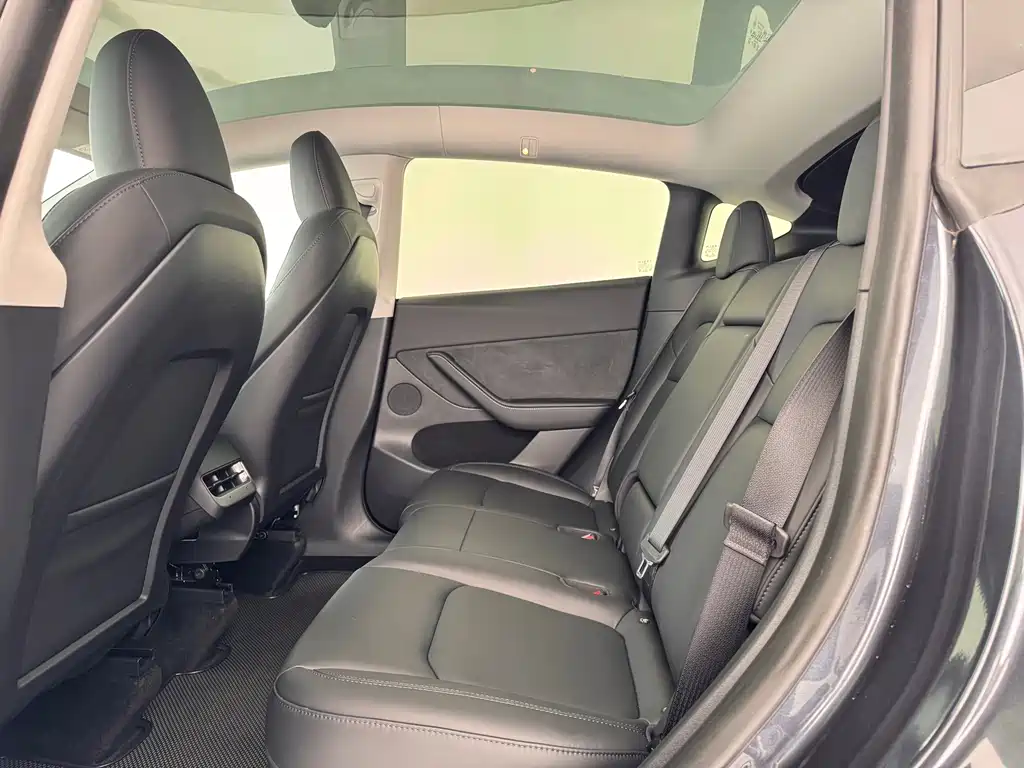 Tesla Model Y — миниатюра 10