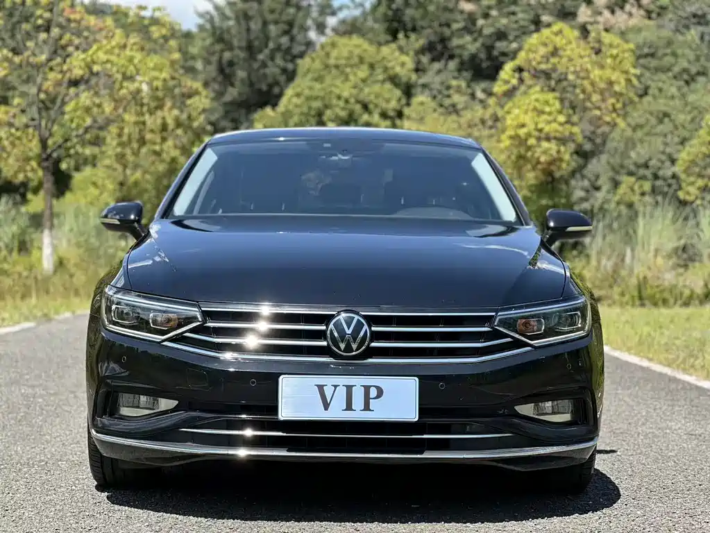 Volkswagen Magotan — миниатюра 2
