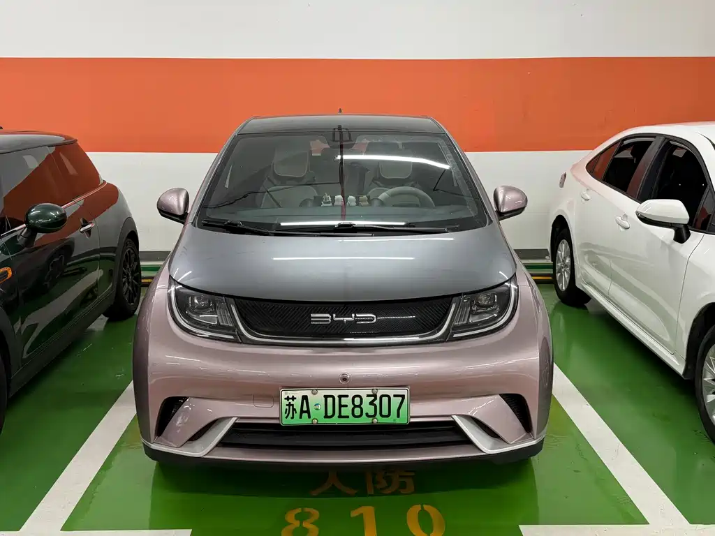 BYD Dolphin — миниатюра 2