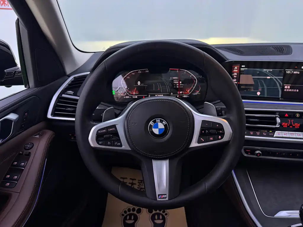 BMW X5 (Import) — миниатюра 10