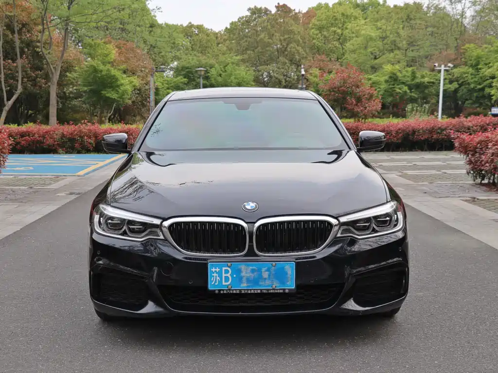 BMW 5 Series 2020