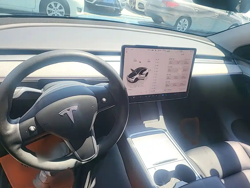 Tesla Model Y — миниатюра 10