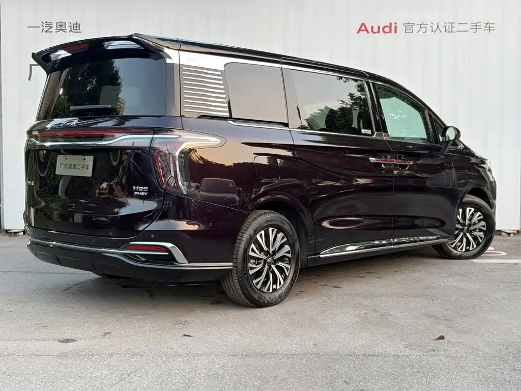 Hongqi Hongqi HQ9 — миниатюра 4