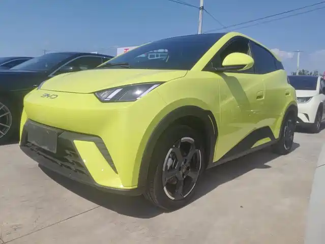 2024 BYD Seagull