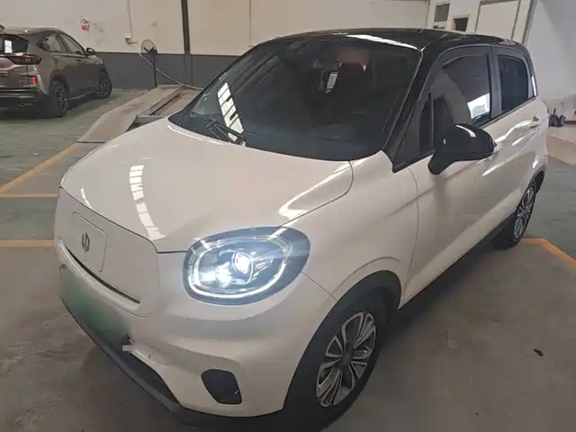 2021 Leapmotor T03