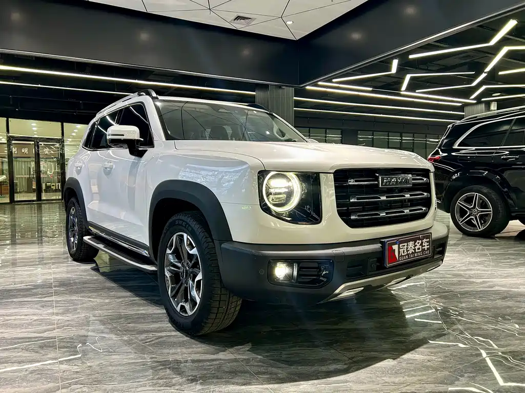 HAVAL BIG DOG