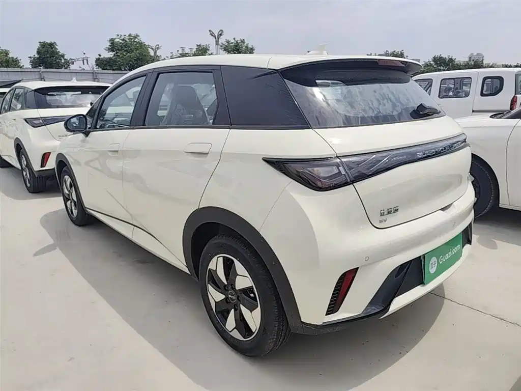 BYD Dolphin 2025 420km Freedom