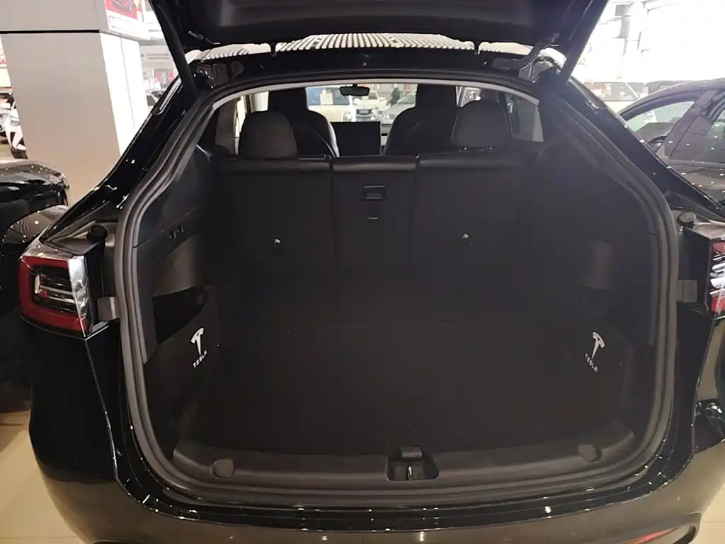 Tesla Model Y — миниатюра 19