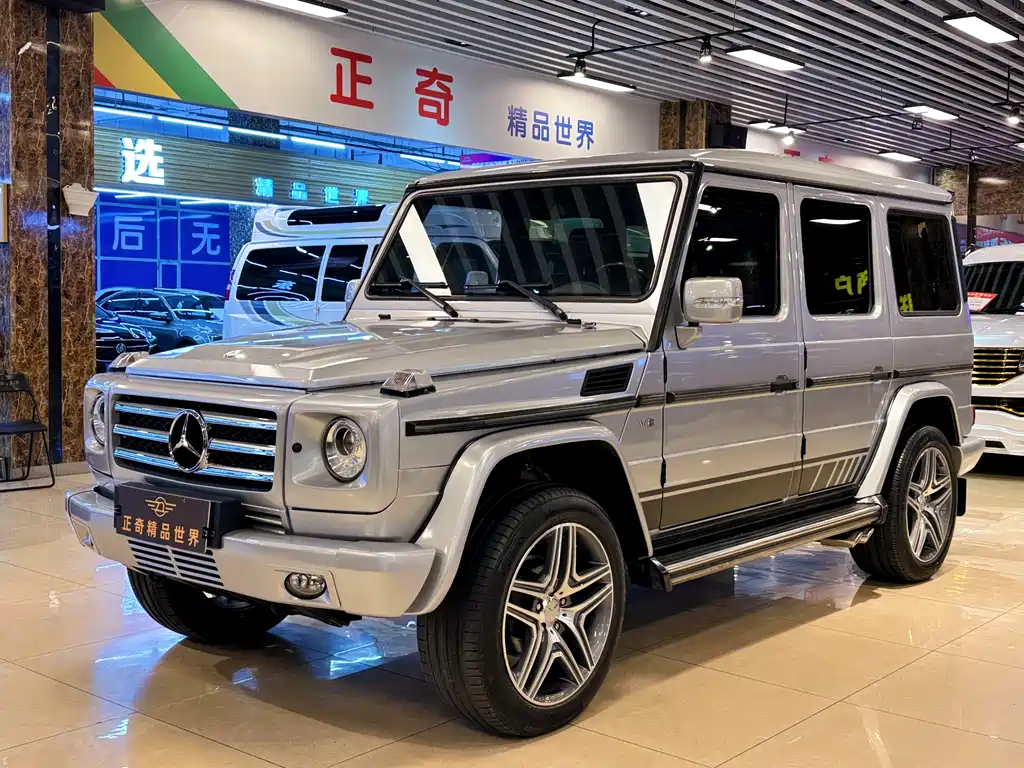 Mercedes-Benz G-Class G 2010 G 500