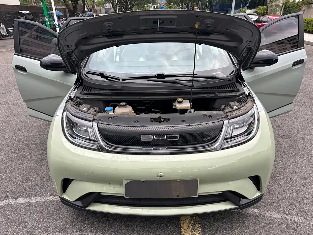 BYD Dolphin — миниатюра 16
