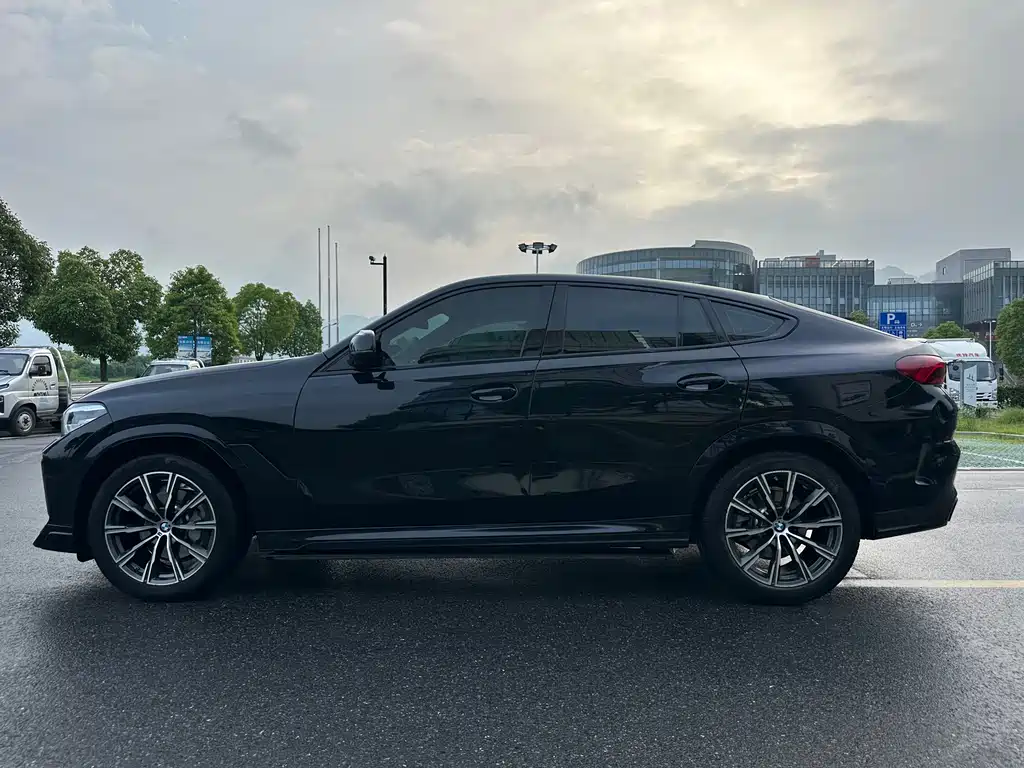 BMW X6 2020 xDrive30i M Sport