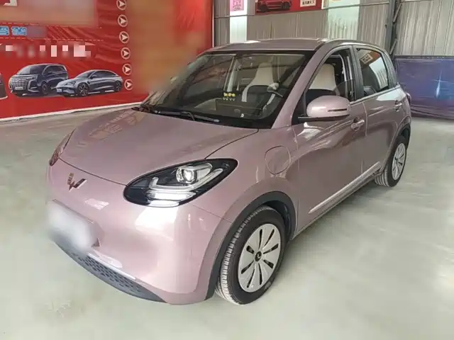 Wuling Bingo