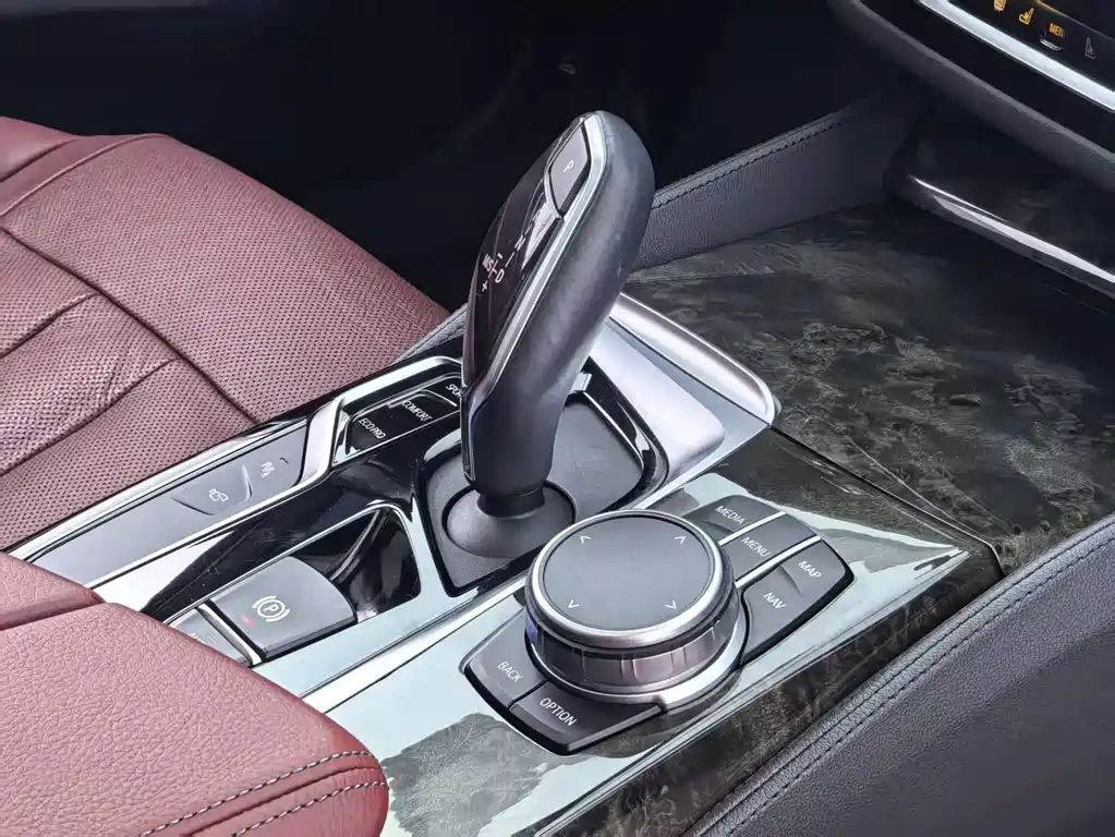 BMW 5 Series 5 2020 530Li Premium M Sport