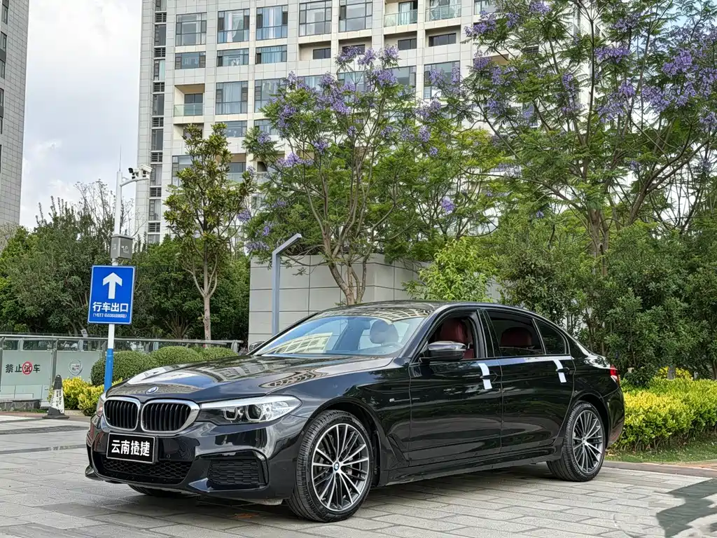 BMW 5 Series 2019