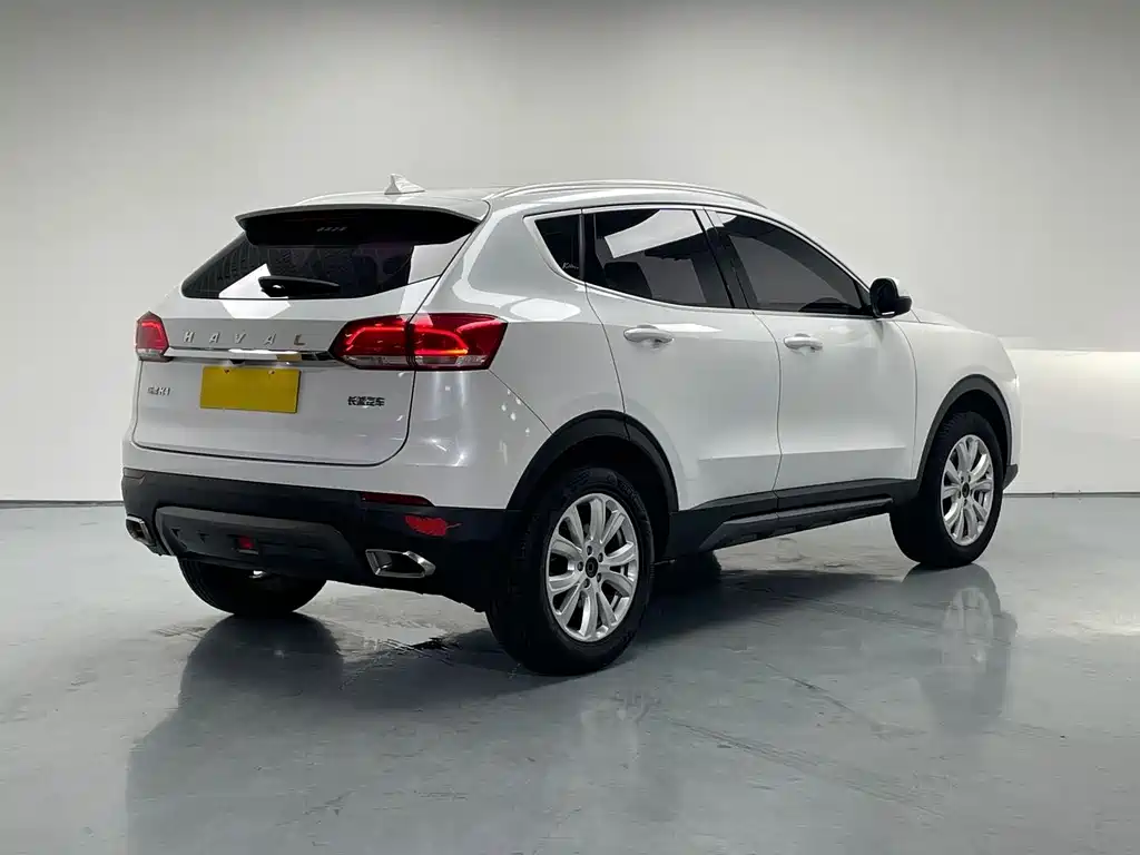 Haval H4 — миниатюра 6