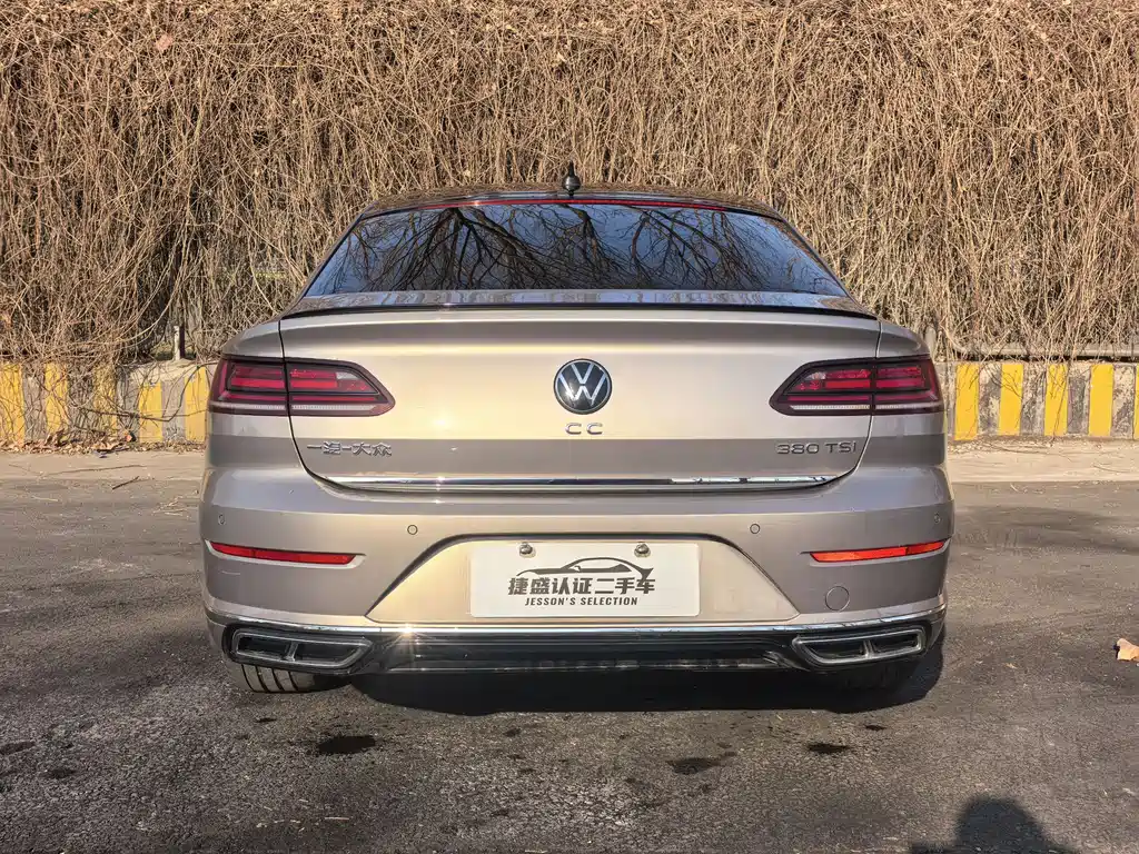 VOLKSWAGEN FAW  CC