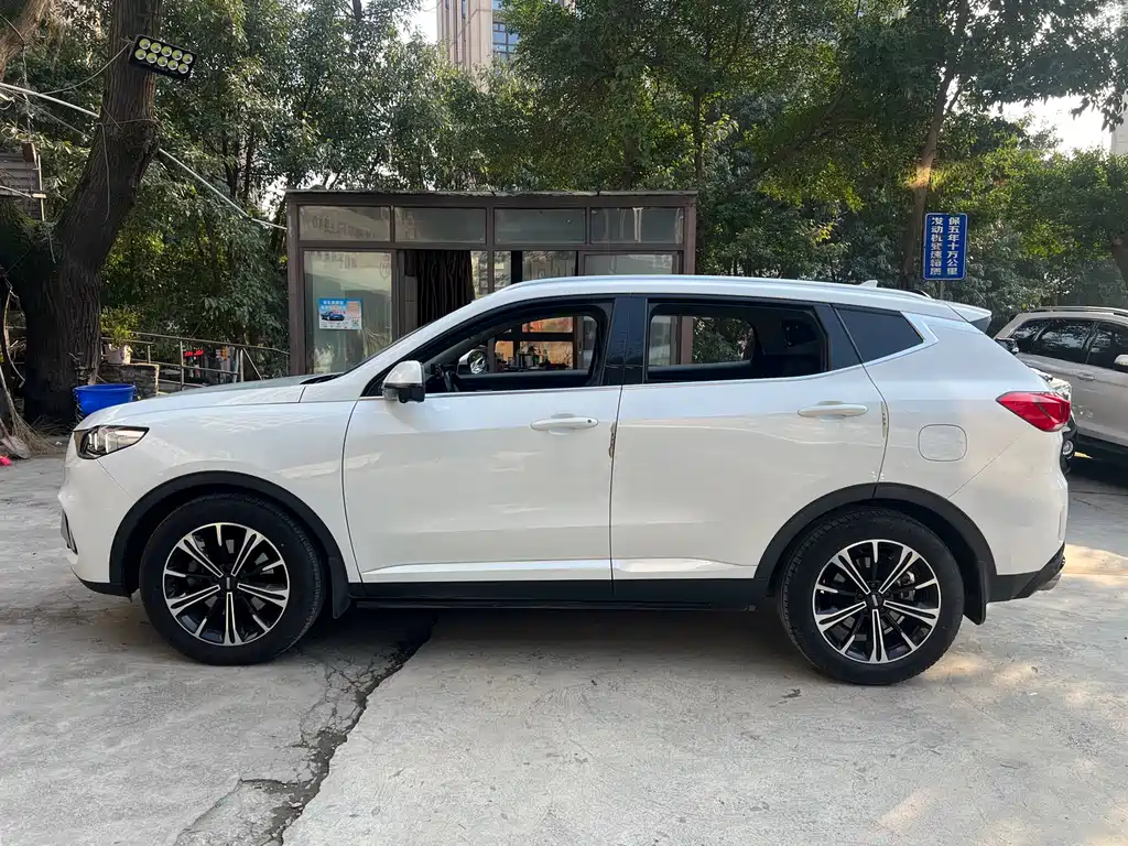 WEI PAI WEI BRAND VV6