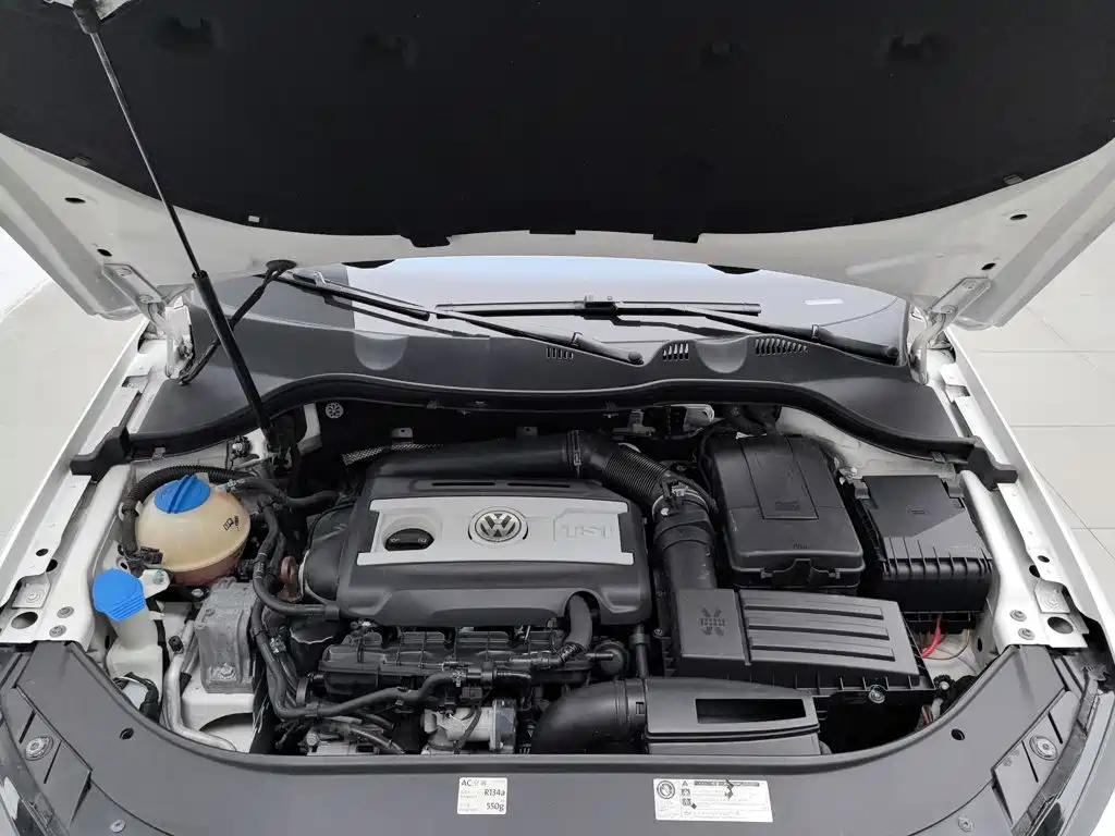 Volkswagen Magotan (Import) — миниатюра 6