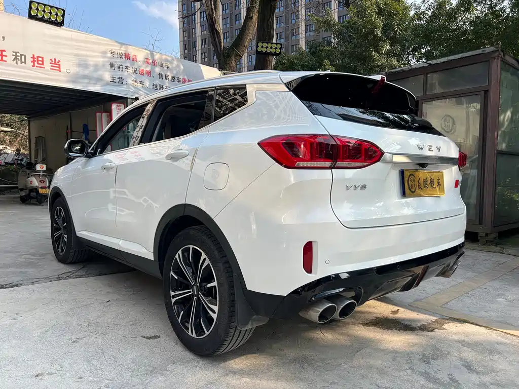 WEI PAI WEI BRAND VV6