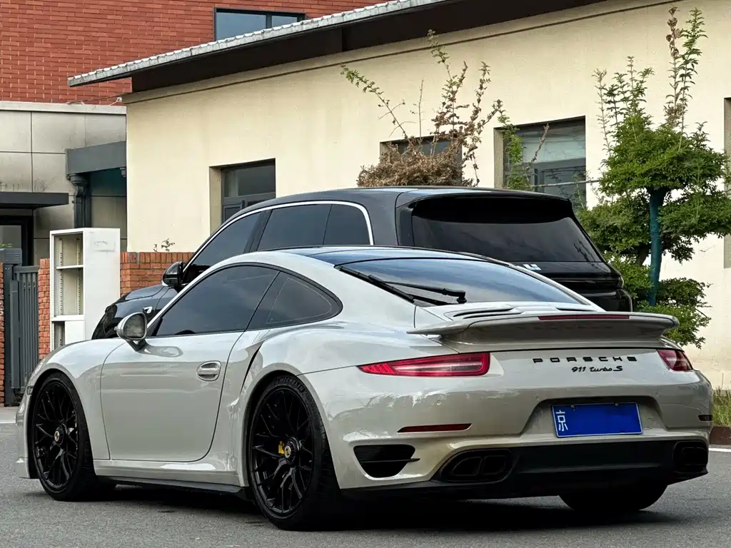 Porsche 911 — миниатюра 12