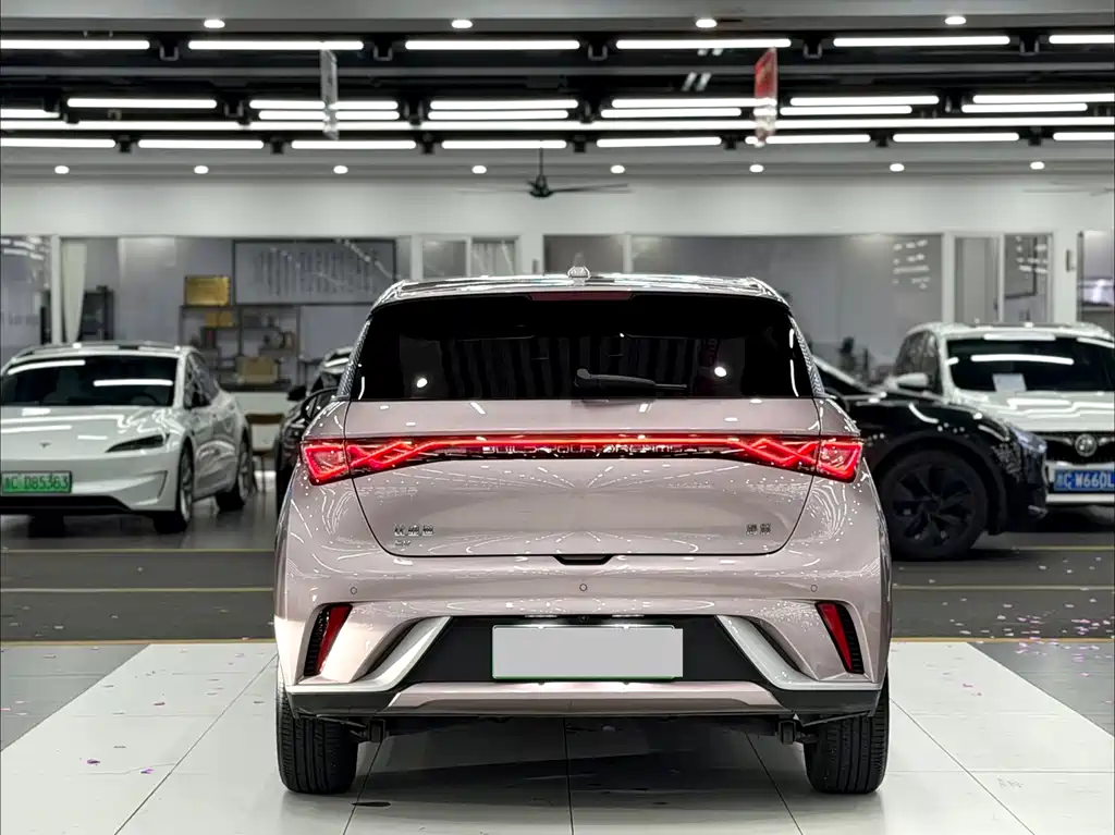 BYD Dolphin 2024 420km Fashion