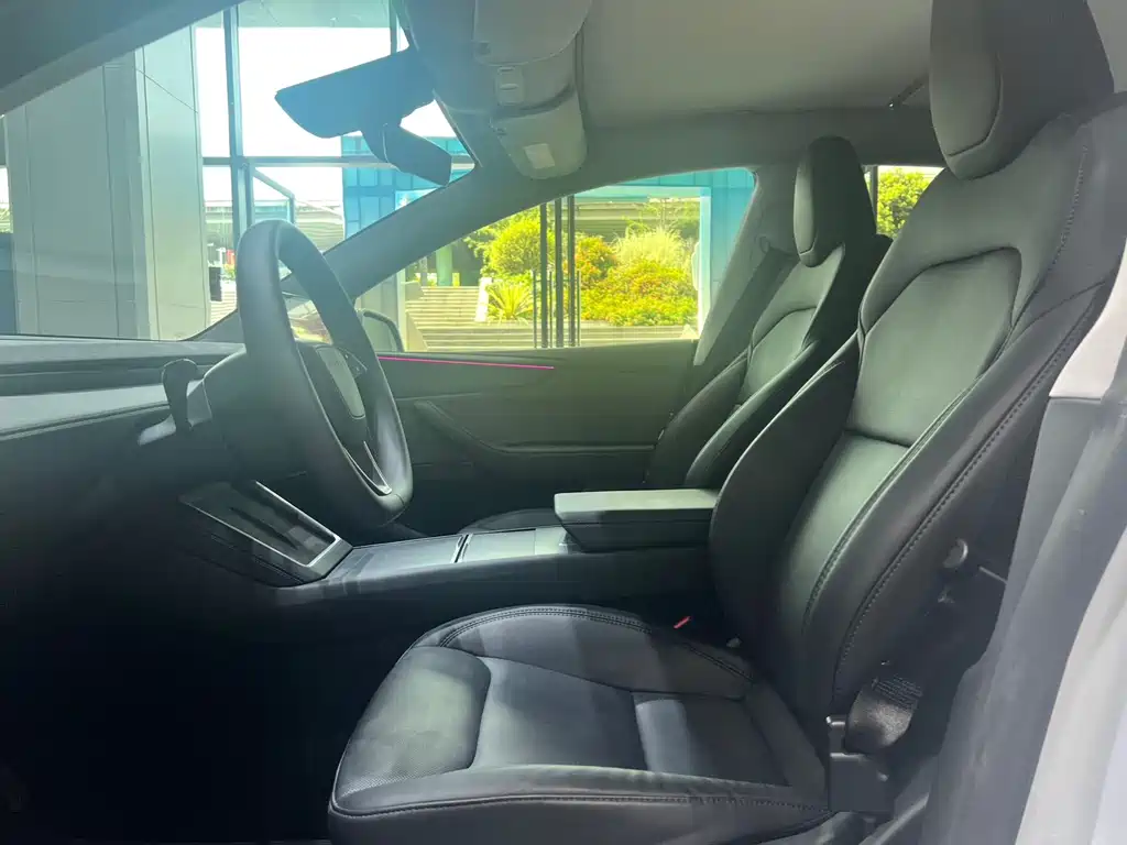 Tesla Model Y — миниатюра 4