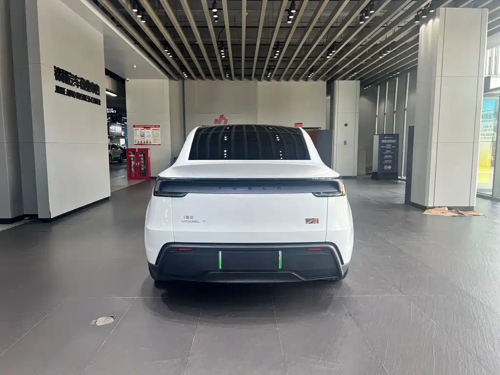 Tesla Model Y — миниатюра 12