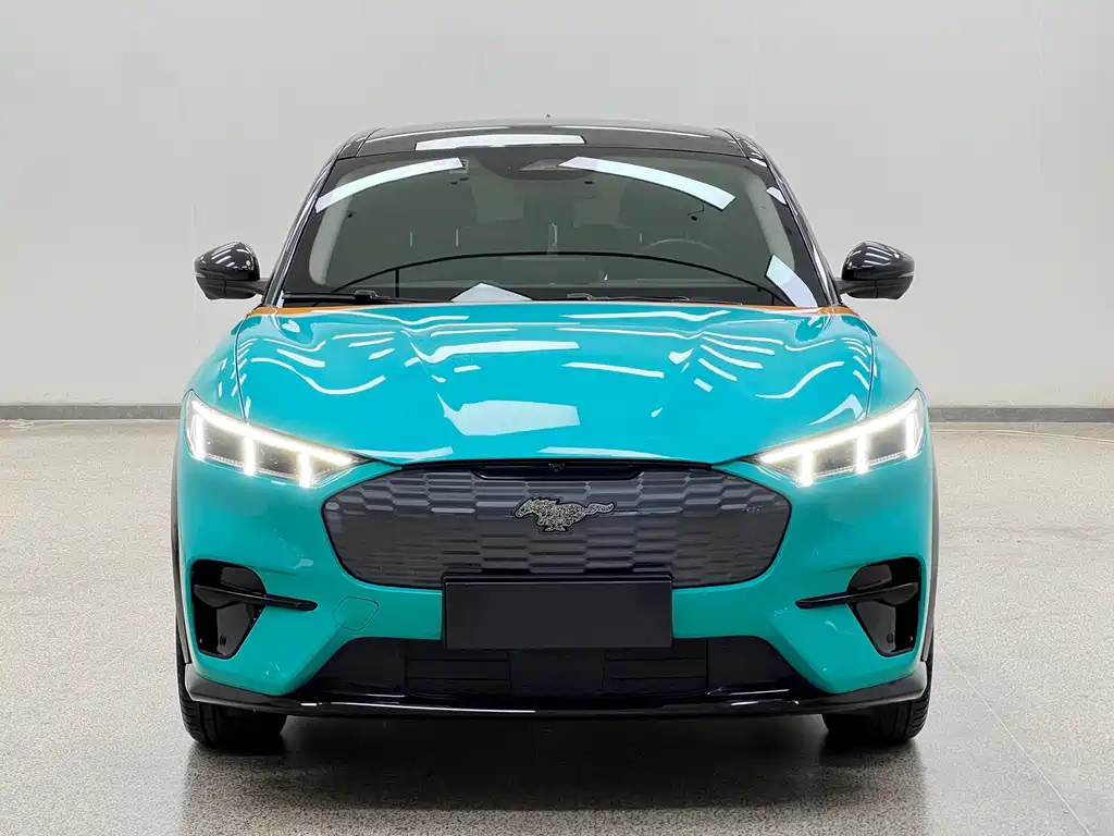 Ford Mustang Mach-E — миниатюра 2