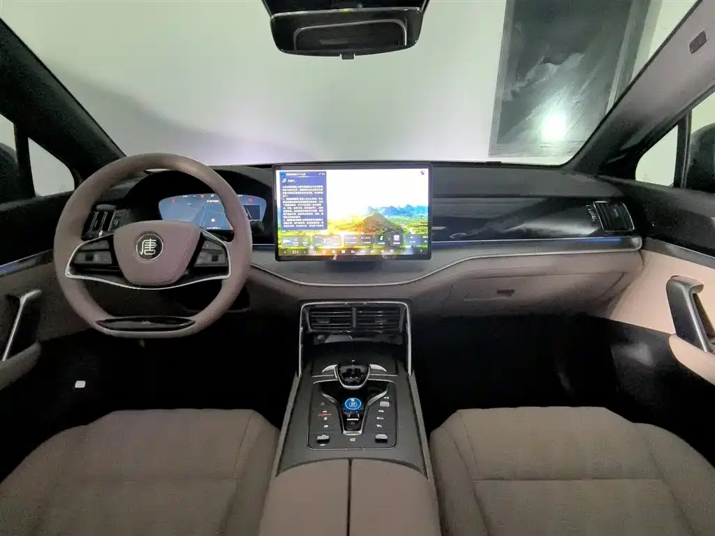 BYD TANGXIN ENERGY