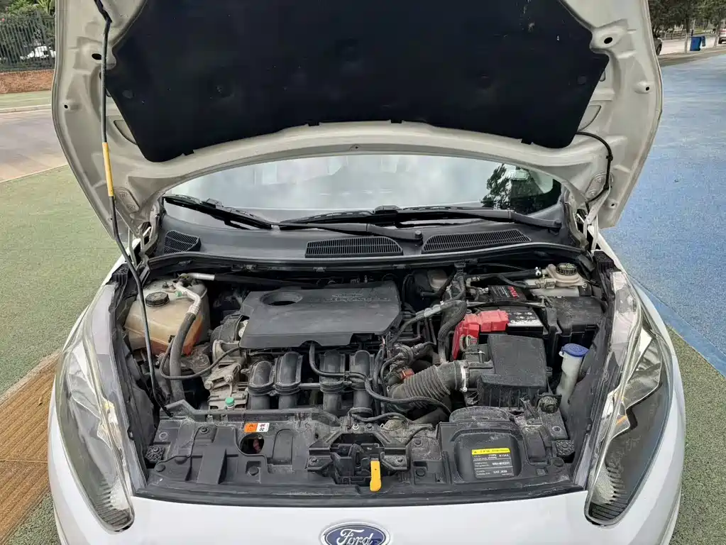 Ford Fiesta — миниатюра 15