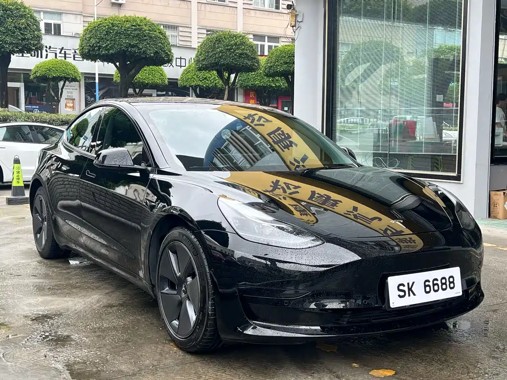 Tesla Model 3 2021 3D1