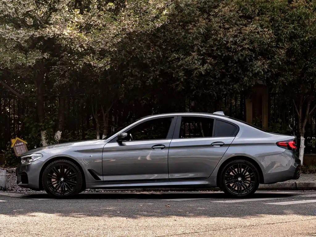 BMW 5 Series (Import) — миниатюра 2