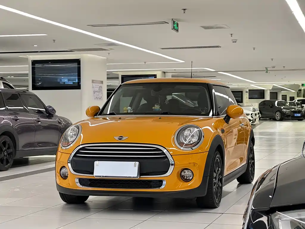 Mini Mini 2017