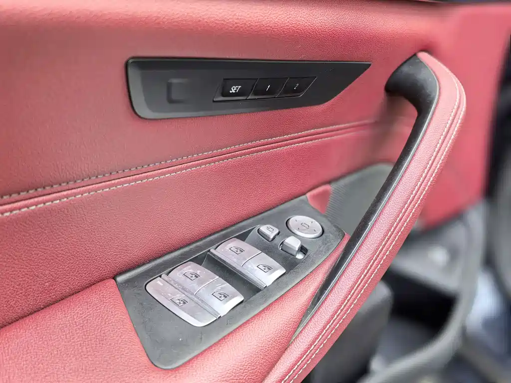 BMW 5 Series 5 2021 530Li Lead Luxury
