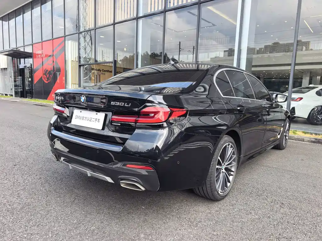 BMW 5 Series — миниатюра 13