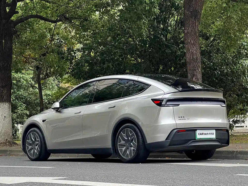 Tesla Model Y L — миниатюра 20