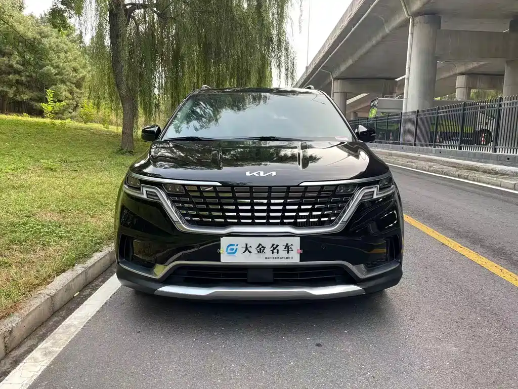 Kia Carnival — миниатюра 3