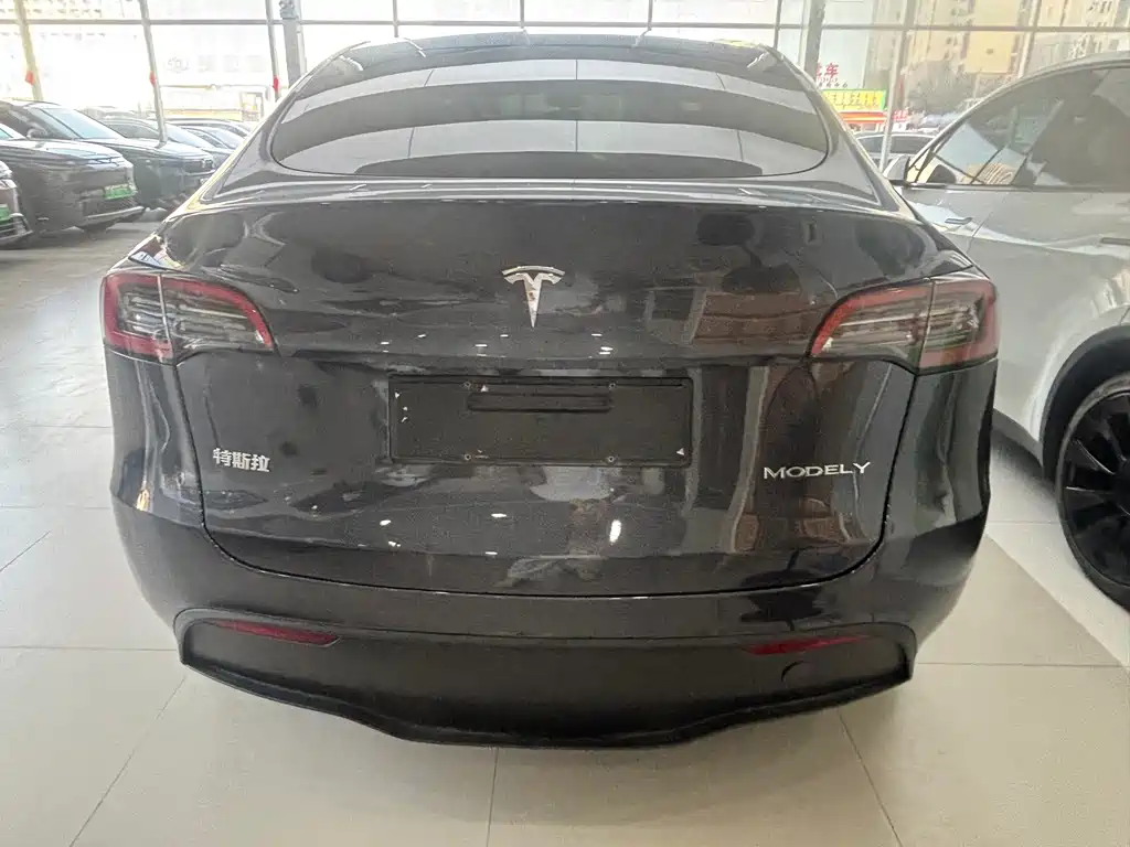 Tesla Model Y — миниатюра 9