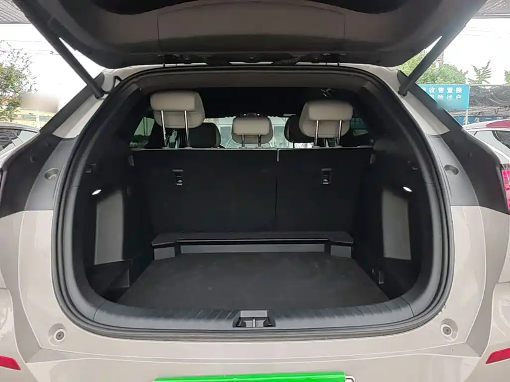 BYD Sealion 06 — миниатюра 19