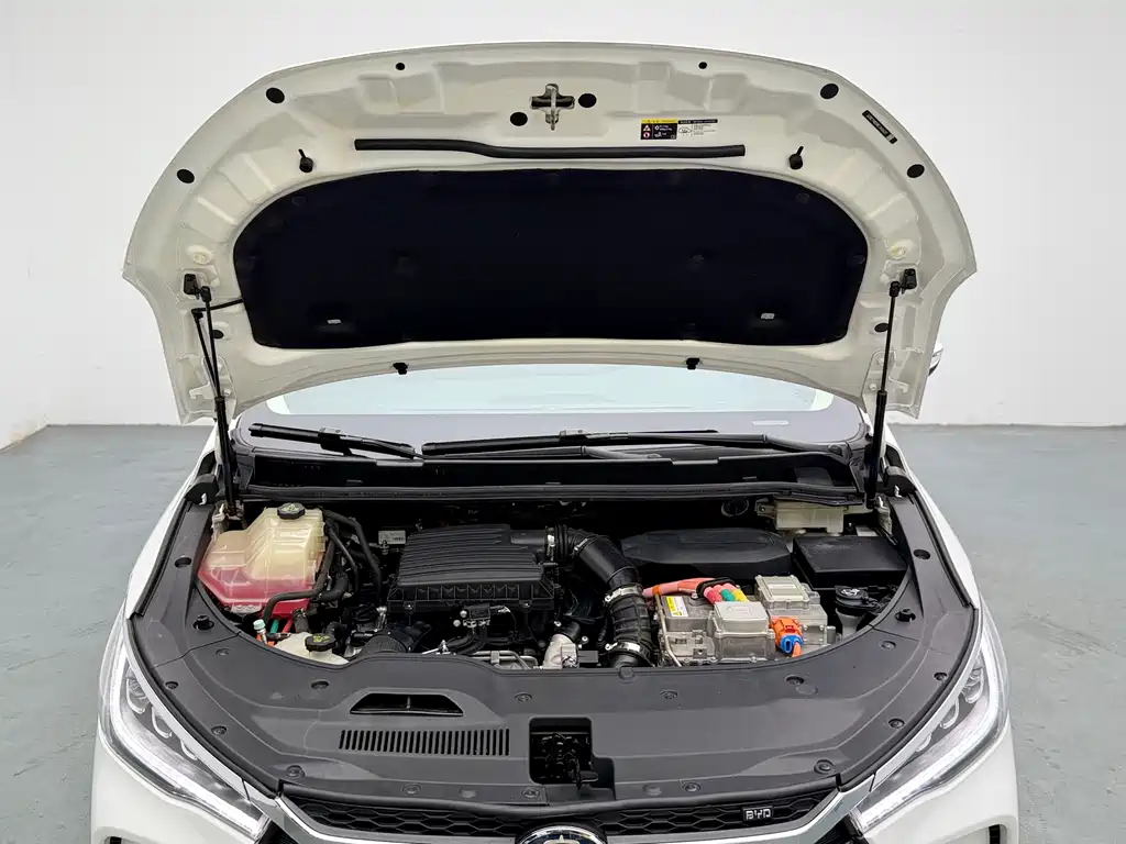 BYD MAX New Energy — миниатюра 12