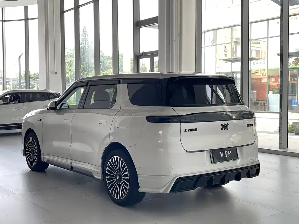 IM IM LS8 — миниатюра 5