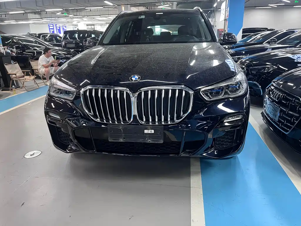 BMW X5 (Import) 2019