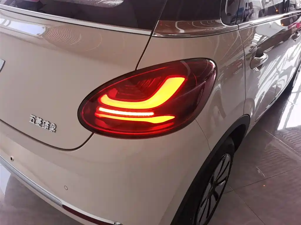 Wuling Binguo 2025 333km Enjoy