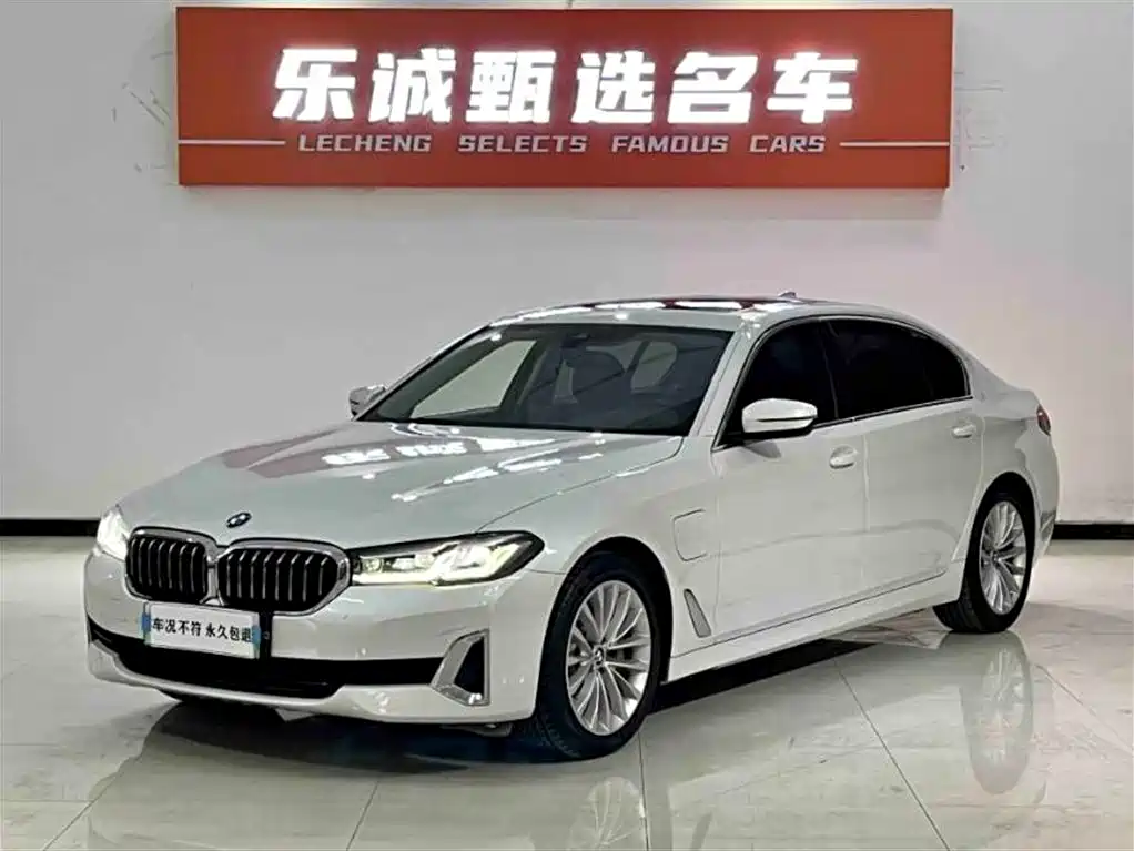 BMW 5 Series New Energy 2021