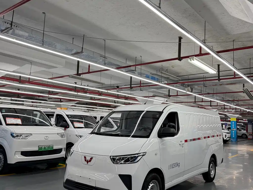 Wuling Yangguang 2024